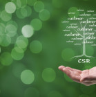 estrategias de servicio al cliente